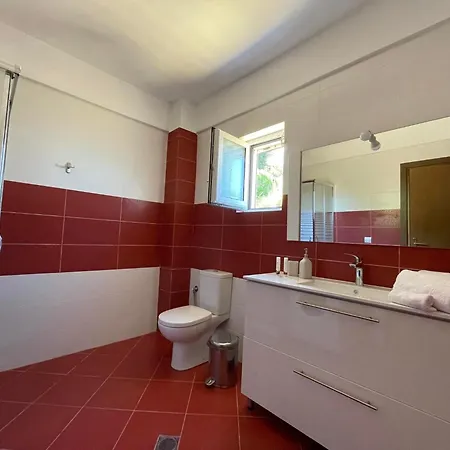 Katerina's 니키아나